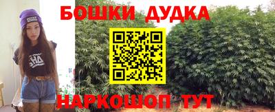 крисы Аргун