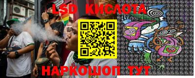 крисы Аргун