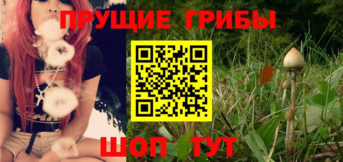 Псилоцибиновые грибы прущие грибы Вятские Поляны